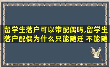 留学生落户可以带配偶吗,留学生落户配偶为什么只能随迁 不能随调